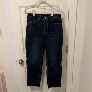 Old Navy Classic Curvy Blue Jeans
